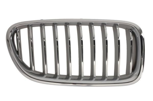 BLIC 6502-07-0067998CP Radiator Grille