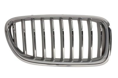 Radiator Grille BLIC 6502-07-0067998CP