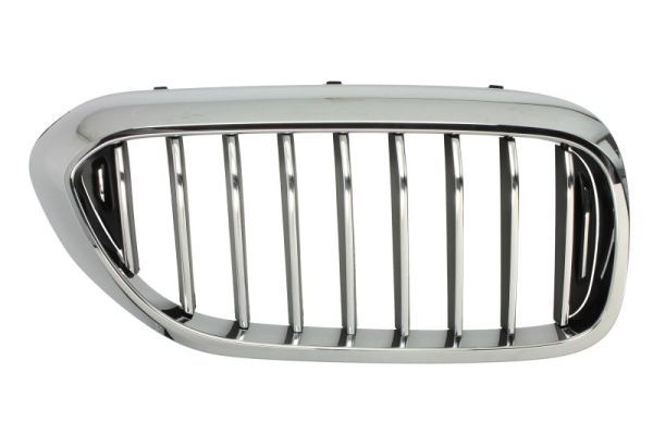 BLIC 6502-07-0068994P Radiator Grille