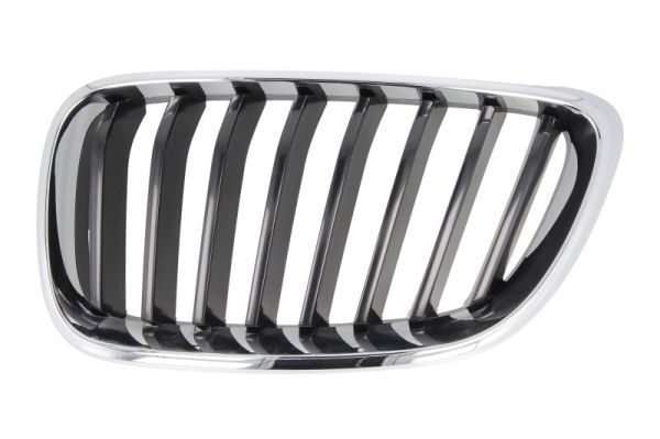 BLIC 6502-07-0069991P Radiator Grille