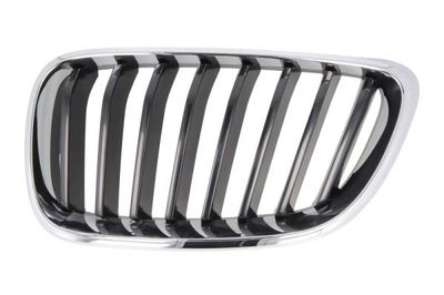Radiator Grille BLIC 6502-07-0069991P