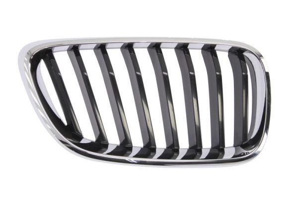 BLIC 6502-07-0069992P Radiator Grille