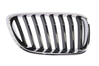 Radiator Grille BLIC 6502-07-0069992P