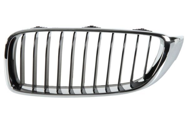BLIC 6502-07-0070991P Radiator Grille