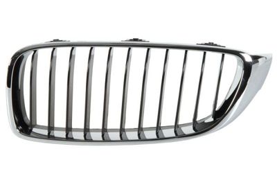 Radiator Grille BLIC 6502-07-0070991P