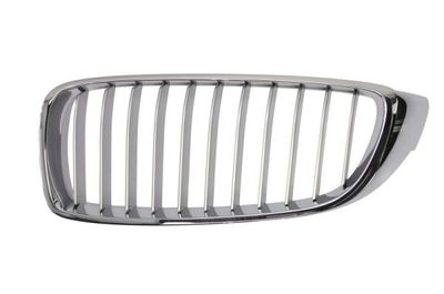 Radiator Grille BLIC 6502-07-0070993P