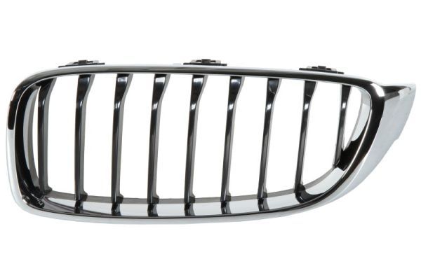 BLIC 6502-07-0070995P Radiator Grille