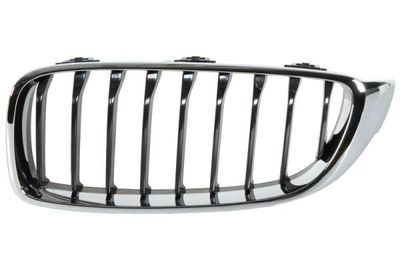 Radiator Grille BLIC 6502-07-0070995P