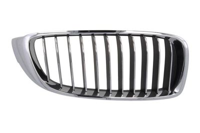 Radiator Grille BLIC 6502-07-0070998P
