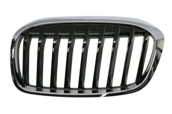 BLIC 6502-07-0071991P Radiator Grille
