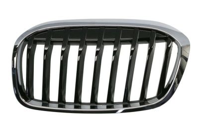 Radiator Grille BLIC 6502-07-0071991P