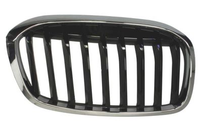 Radiator Grille BLIC 6502-07-0071992P