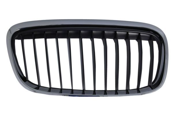 BLIC 6502-07-0071996SP Radiator Grille