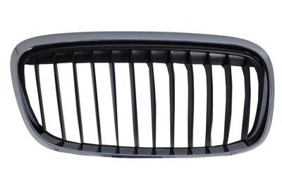 Radiator Grille BLIC 6502-07-0071996SP