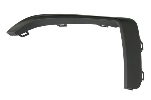 BLIC 6502-07-0073923P Trim/Protection Strip, bumper