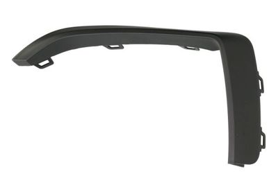 Trim/Protection Strip, bumper BLIC 6502-07-0073923P