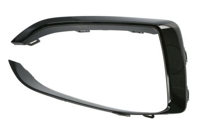Trim/Protection Strip, bumper BLIC 6502-07-0073923SP