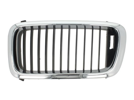 BLIC 6502-07-0075991P Radiator Grille