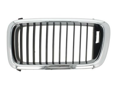 Radiator Grille BLIC 6502-07-0075991P