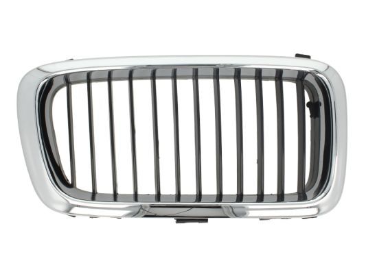 BLIC 6502-07-0075992P Radiator Grille