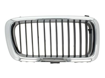 Radiator Grille BLIC 6502-07-0075992P