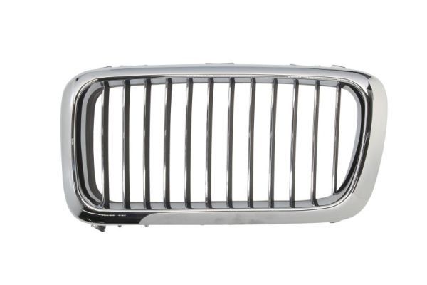 BLIC 6502-07-0075993P Radiator Grille