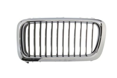 Radiator Grille BLIC 6502-07-0075993P