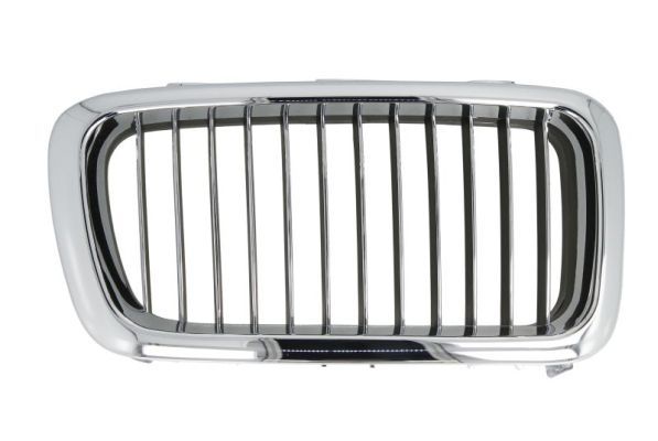 BLIC 6502-07-0075994P Radiator Grille