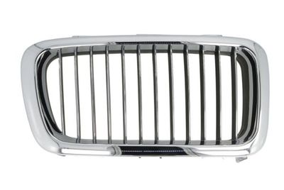 Radiator Grille BLIC 6502-07-0075994P