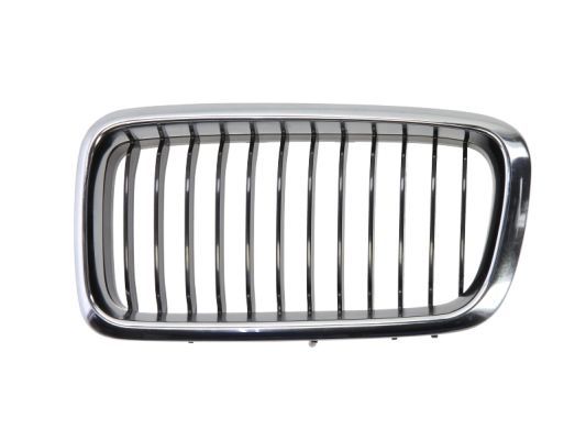 BLIC 6502-07-0075995P Radiator Grille
