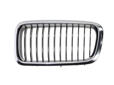 Radiator Grille BLIC 6502-07-0075995P