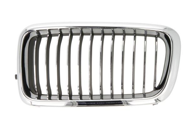 BLIC 6502-07-0075995PP Radiator Grille
