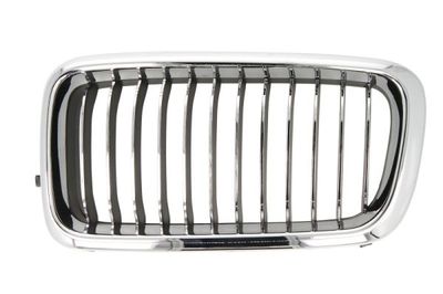 Radiator Grille BLIC 6502-07-0075995PP