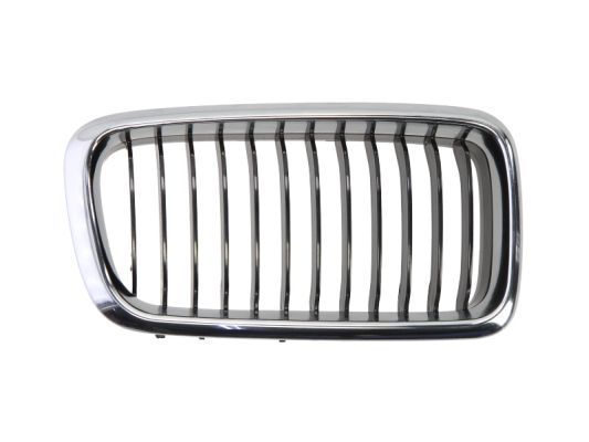 BLIC 6502-07-0075996P Radiator Grille