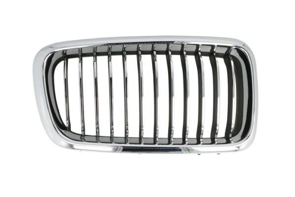 BLIC 6502-07-0075996PP Radiator Grille