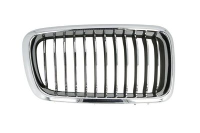 Radiator Grille BLIC 6502-07-0075996PP