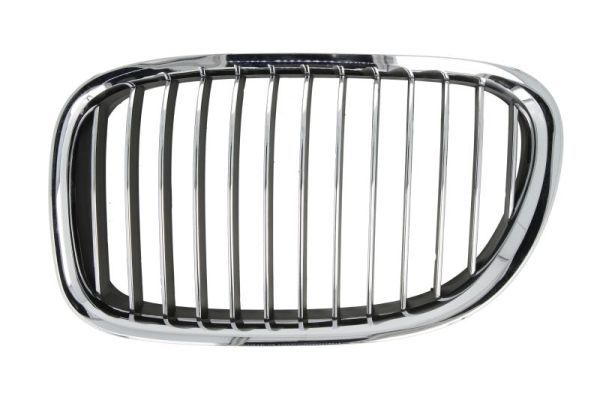 BLIC 6502-07-0077991P Radiator Grille