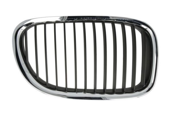 BLIC 6502-07-0077992P Radiator Grille