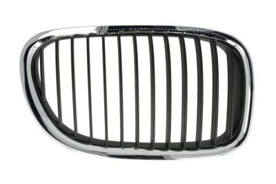 Radiator Grille BLIC 6502-07-0077992P