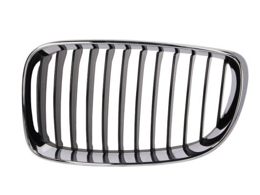 BLIC 6502-07-0085991PP Radiator Grille