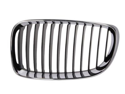 Radiator Grille BLIC 6502-07-0085991PP