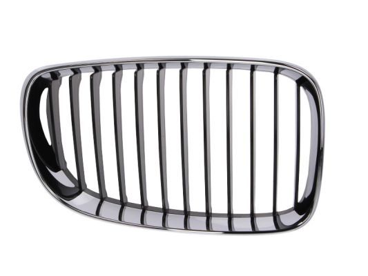 BLIC 6502-07-0085992PP Radiator Grille