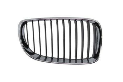Radiator Grille BLIC 6502-07-0085992PQ