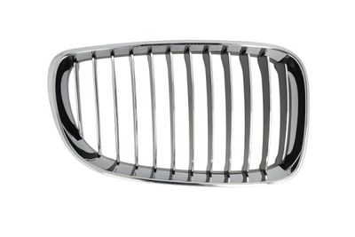 Radiator Grille BLIC 6502-07-0085996P