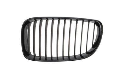 Radiator Grille BLIC 6502-07-0085999P