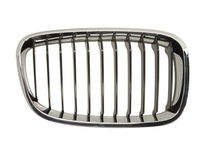 Radiator Grille BLIC 6502-07-0086992P