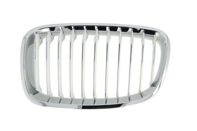Radiator Grille BLIC 6502-07-0086993P