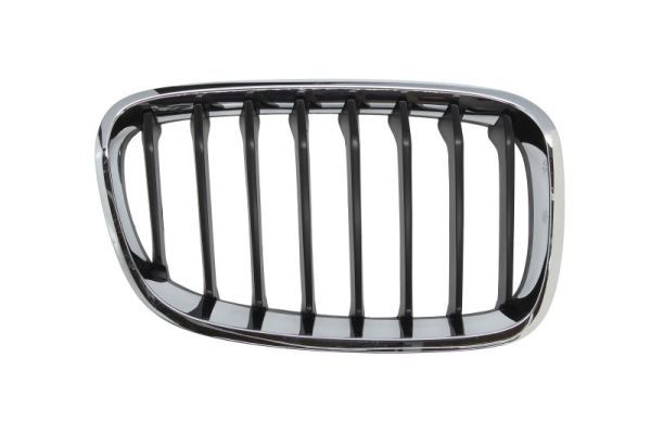 BLIC 6502-07-0086996P Radiator Grille