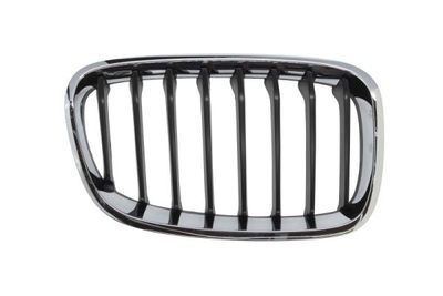 Radiator Grille BLIC 6502-07-0086996P