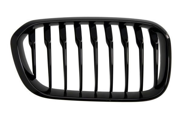 BLIC 6502-07-0086998P Radiator Grille